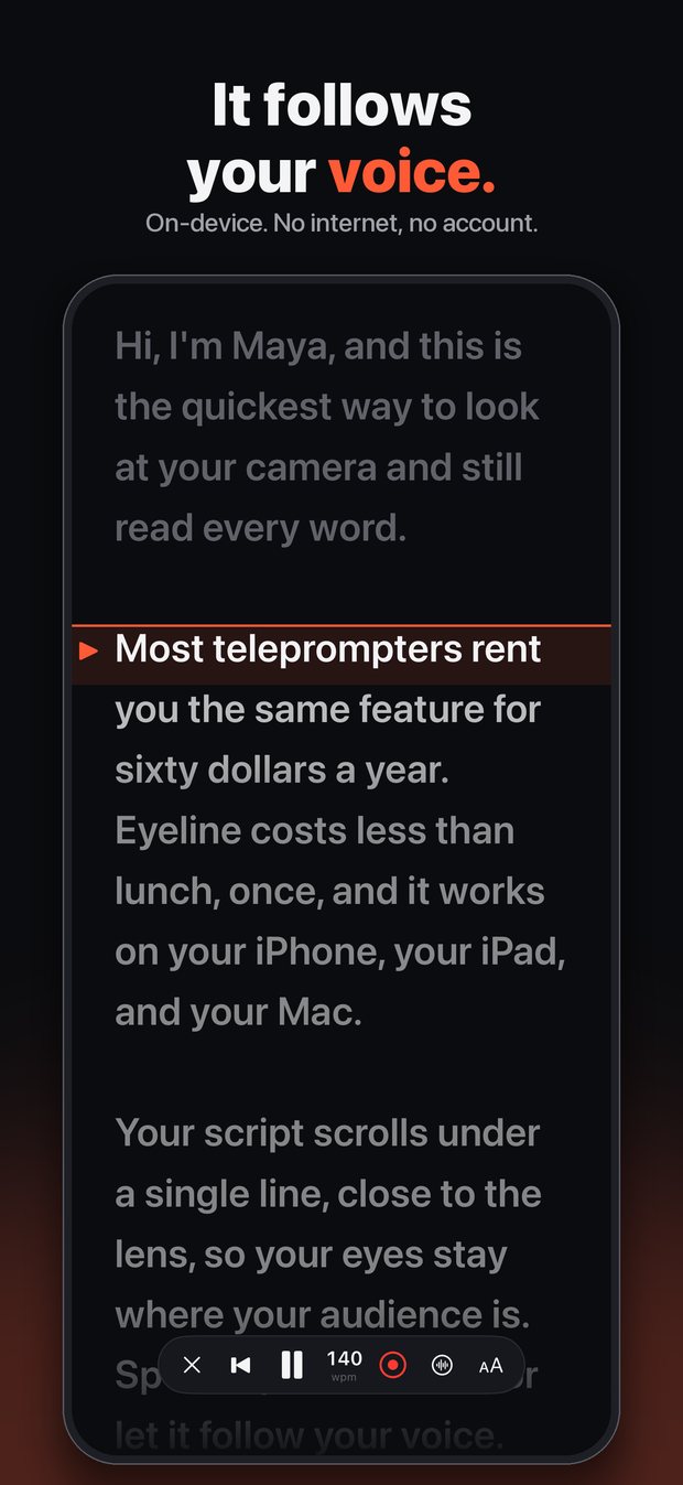 Voice follow with playback controls